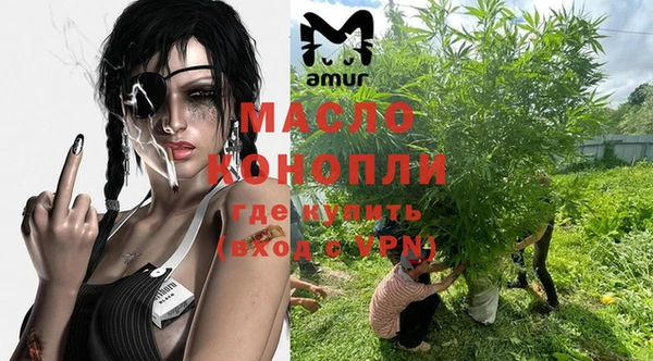 молекула духа Осташков