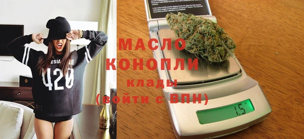 молекула духа Осташков