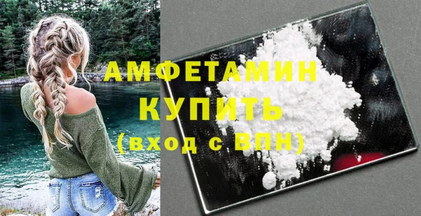 молекула духа Осташков