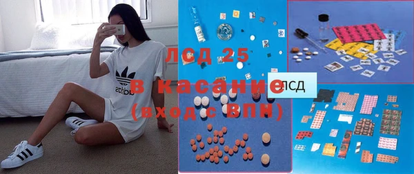 молекула духа Осташков