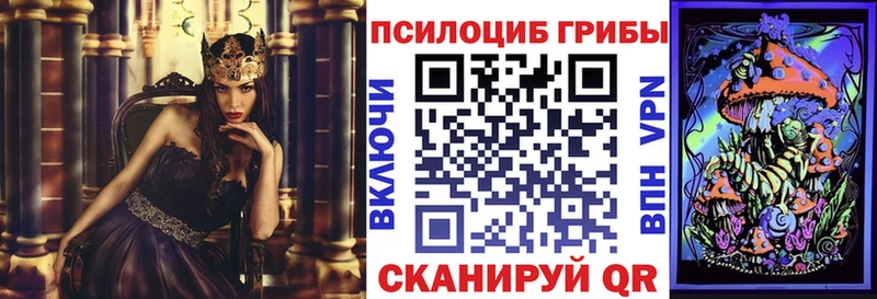 Галлюциногенные грибы MAGIC MUSHROOMS как найти Кедровый